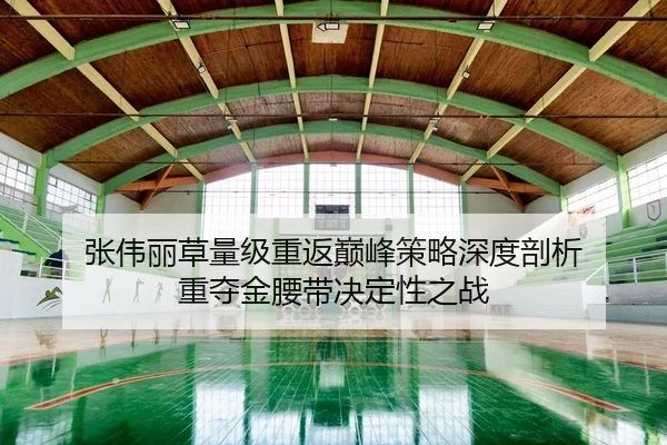张伟丽草量级重返巅峰策略深度剖析 重夺金腰带决定性之战